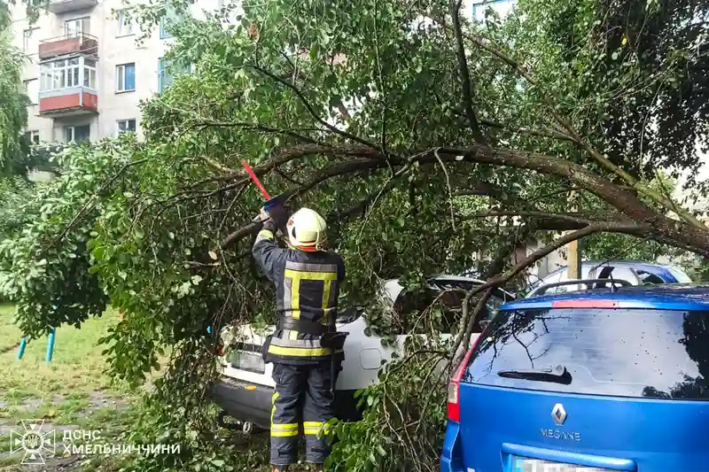 Буревій на Хмельниччині повалив дерева: рятувальники ліквідовували наслідки негоди сім разів за добу