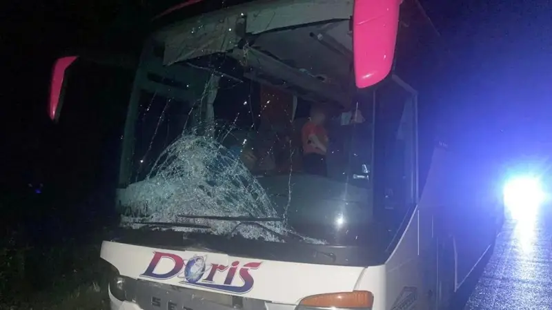 Під колесами автобуса: на Хмельниччині у ДТП загинув пішохід